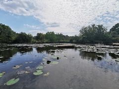 -白马涧龙池景区
