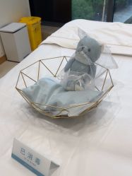 -智美品质医美