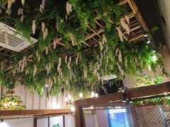 -浩源美食·椰子鸡