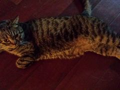 -云端咖啡私房店(河松街店)