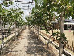 -美家乐农庄·露营·团建(大治路店)