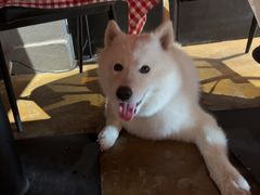 -自然食集西餐厅(泰晤士小镇店)