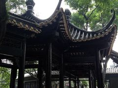 -合肥滨湖国家森林公园