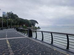 -深圳湾公园(南山区)