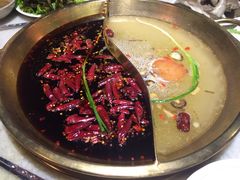 杨家火锅(青年路店)-杨家火锅(国美店)