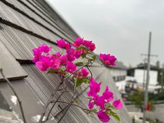 -悦哉·派对·草坪婚礼·围炉煮茶(三圣乡店)