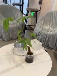 -壹加壹医疗美容·轻医美·美容外科