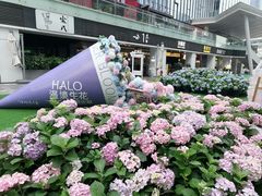-HALO广场(梨园路店)