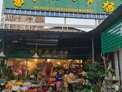 -曲阳花鸟市场(曲阳路店)