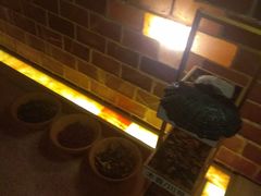 -丽辰新韩式商务SPA·洗浴桑拿·自助餐食