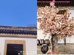 -留园