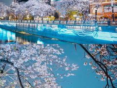 -棠湖公园