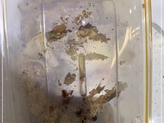 -老王豆皮