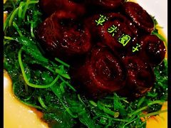 草头圈子-圆苑(金茂店)