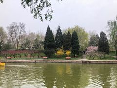 -团结湖公园