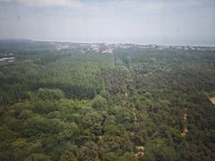 -日照海滨国家森林公园