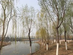 -东郊湿地公园