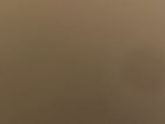 -CoCo都可(中华广场店)