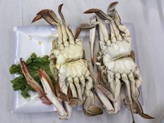 -东夷海鲜巨无霸(东夷小镇店)