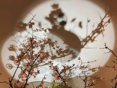 -广州四季酒店