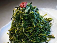 清香枸杞苗-国强手抓(北京西路店)