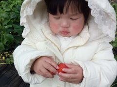 -美吉姆早教(恒隆中心)