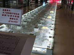 -青岛贝壳博物馆