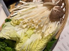 -同仁四季椰子鸡(福田东园总店)