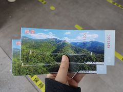 -南丹山森林王国