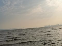 -深圳湾公园(南山区)