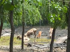 -溱湖国家湿地公园