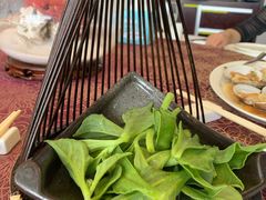 -欢乐海岸美食联盟