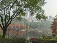 -重庆彩云湖湿地公园