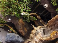 -祖母的魔法厨房(印象城店)