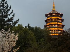 -杭州雅谷泉山庄酒店-餐厅