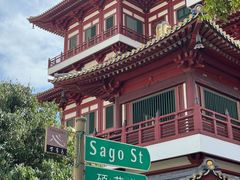 -新加坡佛牙寺龙华院