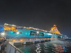 -泰达航母主题公园