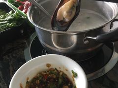 -蚝专家