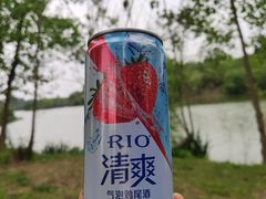 -白鹭湾湿地公园