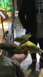 -酷嗒动物文化乐园(cutezoo西溪乐天城店)