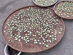 -芦茨金富饭庄·25年老字号·专做稻草鸡