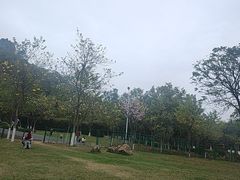 -火炉山森林公园