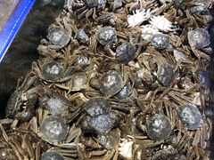 活河蟹-欢乐牧场海鲜烤肉自助(牡丹园店)