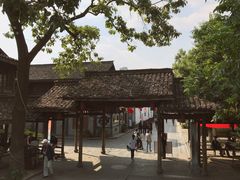 -运河游船(武林门码头)