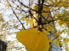 -胡桃里乐队酒馆(鎏嘉码头店)