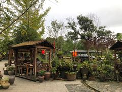 -青城甲(青城山店)