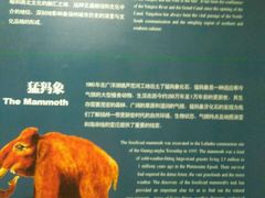 -扬州科技馆