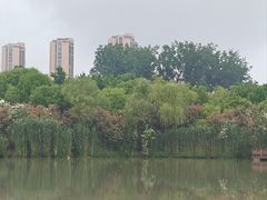 -青枫公园