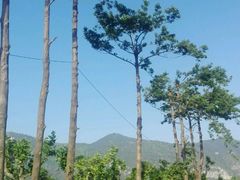 -云南滇池花园国际大酒店温泉