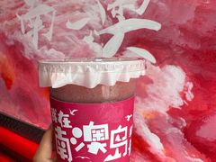 -南澳岛打卡果汁冰公司